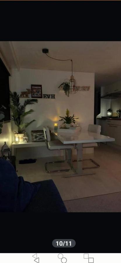 Stacaravan Op 5 Sterren Vakantiepark De Kuilart Friesland Aan Het Meer Met Zwembad 5P 237 考德姆 外观 照片