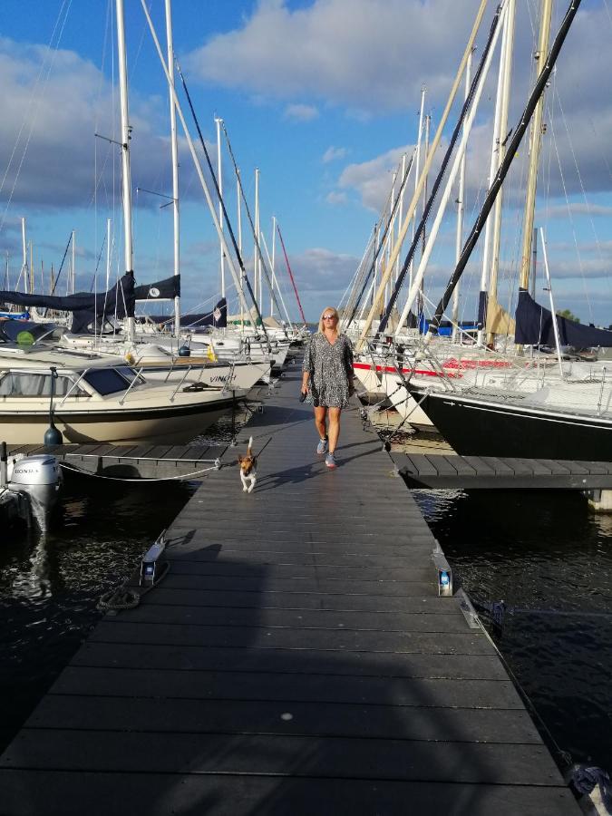 Stacaravan Op 5 Sterren Vakantiepark De Kuilart Friesland Aan Het Meer Met Zwembad 5P 237 考德姆 外观 照片